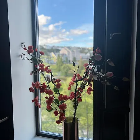 Апартаменты Luxury Downtown Тромсё